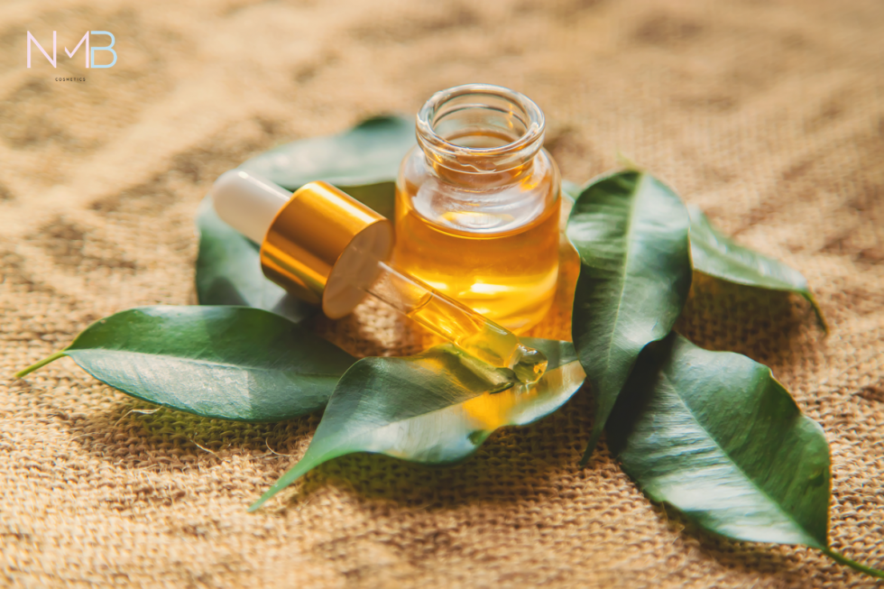 5 formas de utilizar el árbol de té para mejorar tu piel